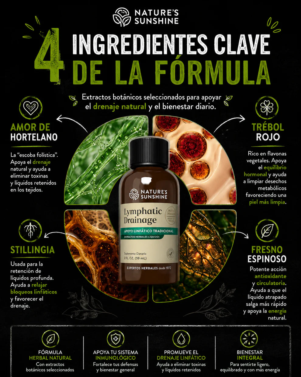 🌿 Nature’s Sunshine Drenaje Linfático Herbal Líquido